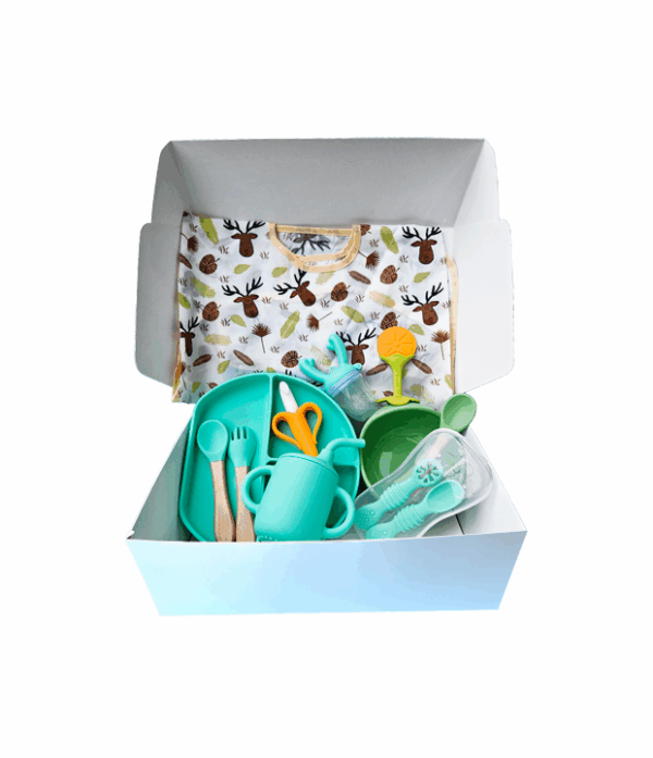 Set alimentación complementaria Box alimentación bebé Kit Baby Led Weaning